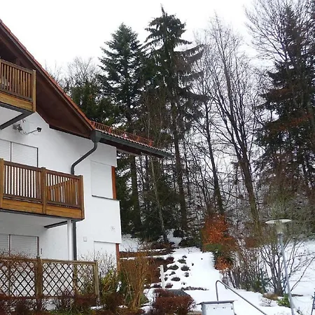 Komfort-fewo Sylvia Appartement Spiegelau